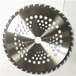 Bruch Cutter Blade