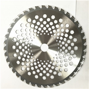 Bruch Cutter Blade